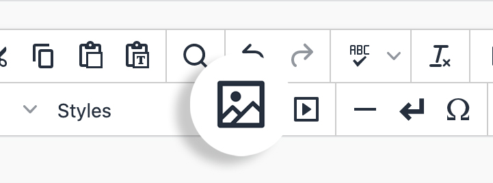 image in wysiwyg toolbar